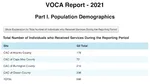 VOCA report output.