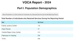 VOCA report showing assorted data.